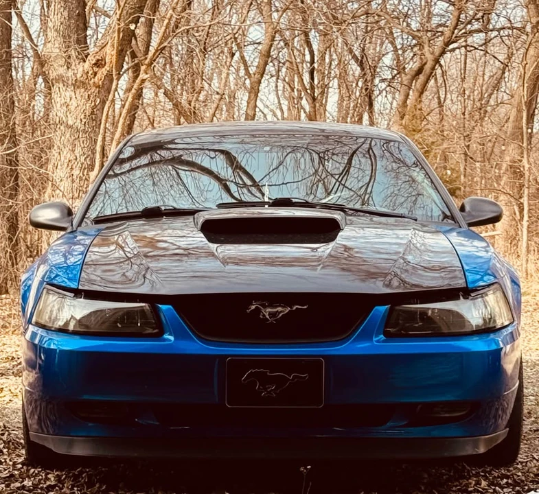 2002 Ford SN95 Mustang - Image 2 of 7