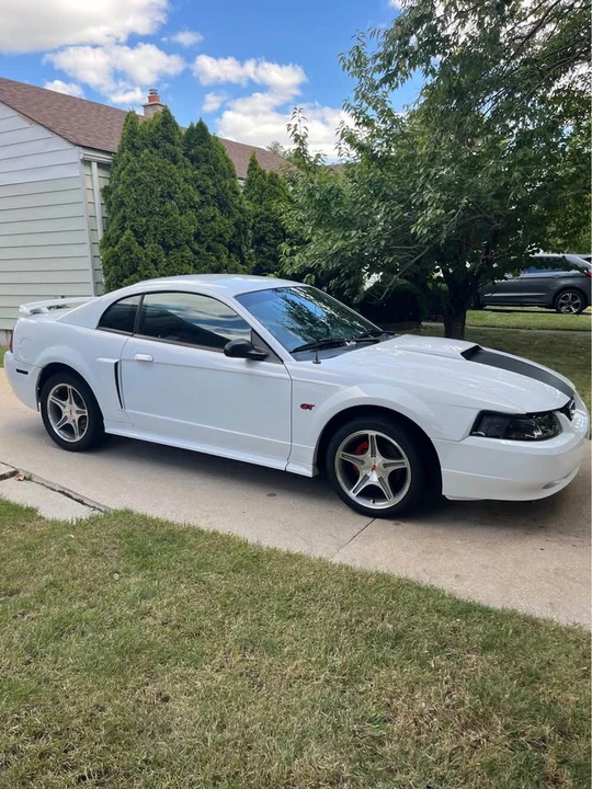 2002 Ford SN95 Mustang - Image 2 of 9