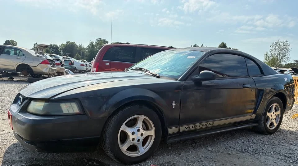 2002 Ford SN95 Mustang - Image 3 of 12