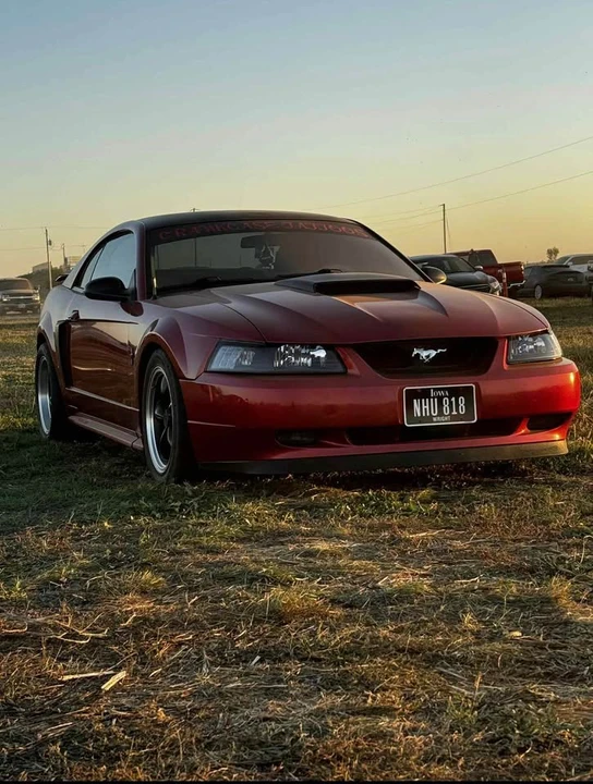 2002 Ford SN95 Mustang - Image 2 of 9