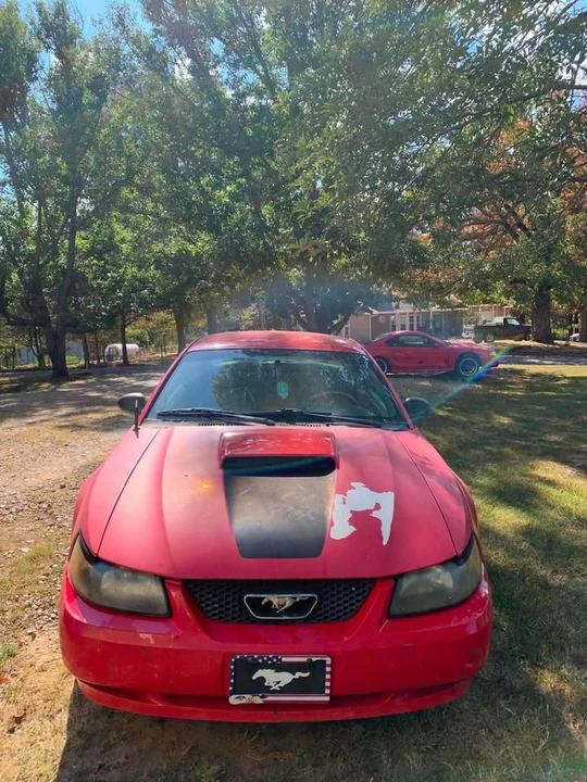 2002 Ford SN95 Mustang - Image 5 of 10