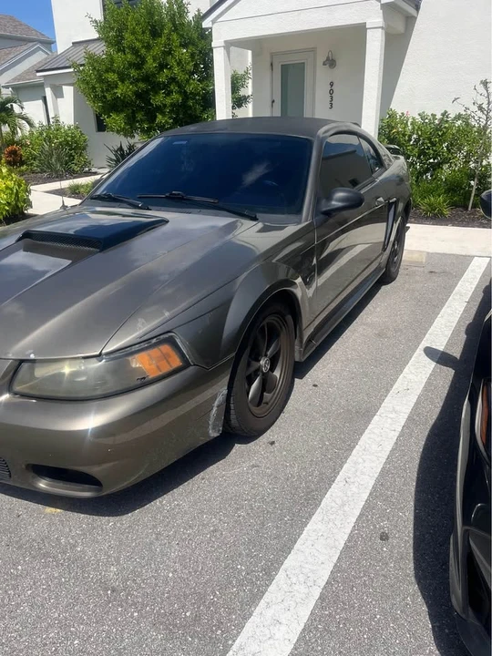 2002 Ford SN95 Mustang - Image 6 of 6