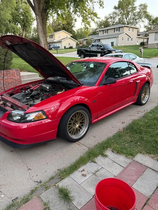 2002 Ford SN95 Mustang - Image 2 of 7