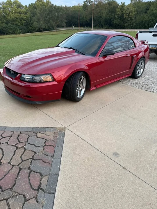 2002 Ford SN95 Mustang - Image 2 of 4