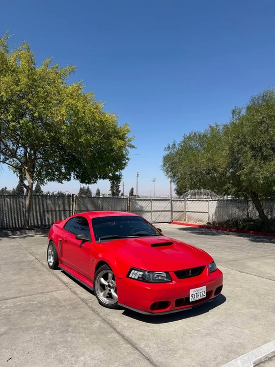 2002 Ford SN95 Mustang - Image 2 of 6