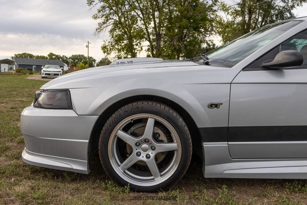 2002 Ford SN95 Mustang - Image 4 of 12