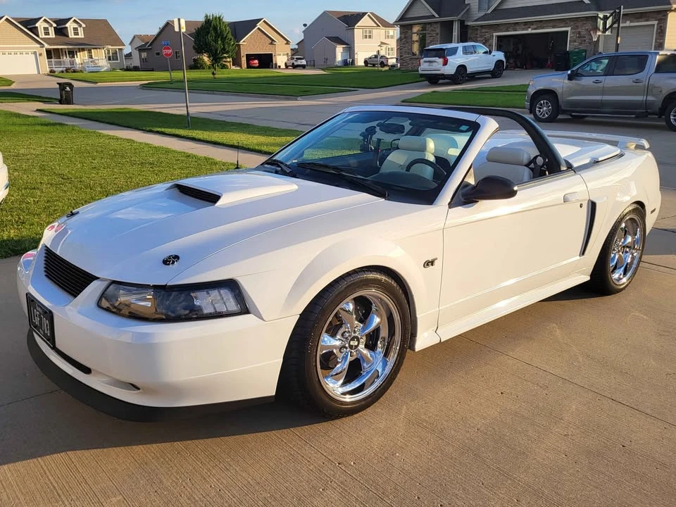 2002 Ford SN95 Mustang - Image 5 of 21
