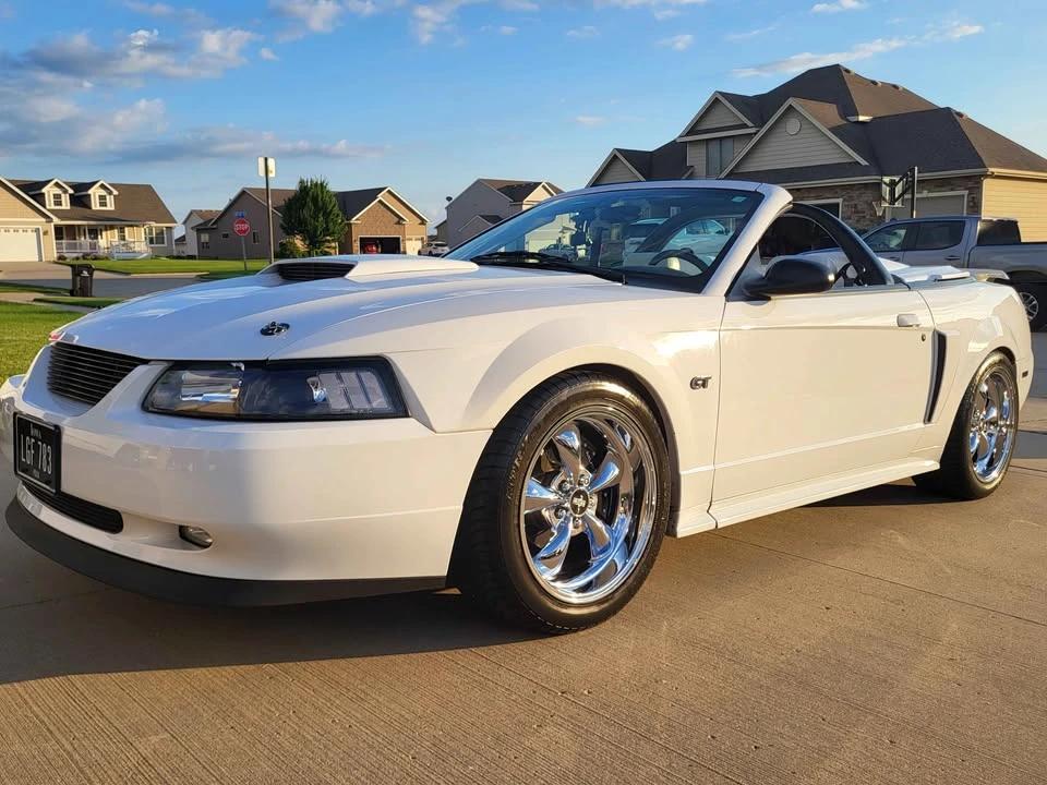 2002 Ford SN95 Mustang - Image 6 of 21
