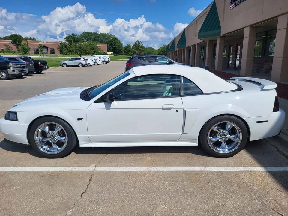 2002 Ford SN95 Mustang - Image 8 of 21