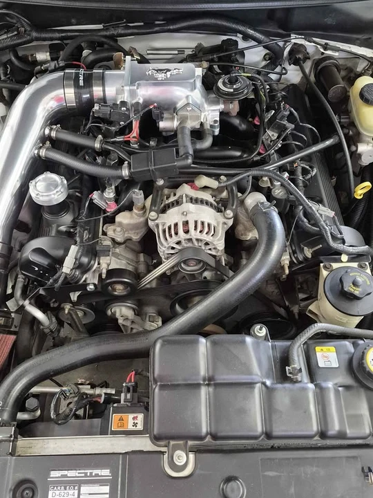 2002 Ford SN95 Mustang - Image 2 of 21