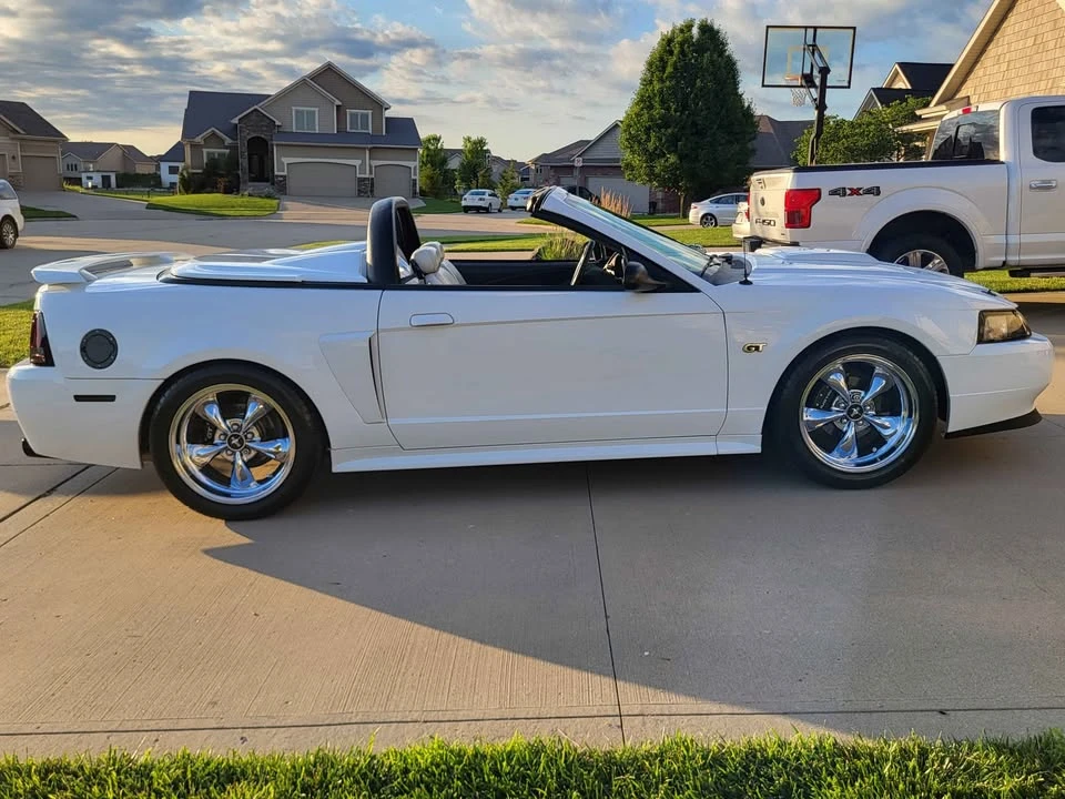 2002 Ford SN95 Mustang - Image 7 of 21