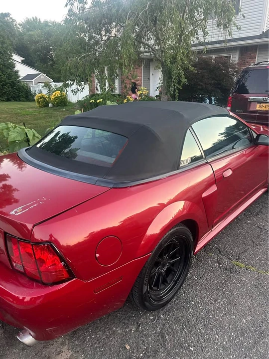 2002 Ford SN95 Mustang - Image 8 of 12