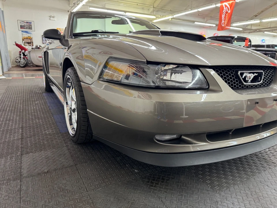2002 Ford SN95 Mustang - Image 13 of 21