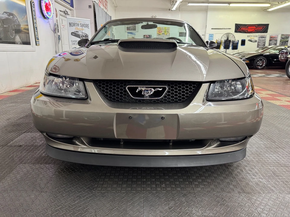 2002 Ford SN95 Mustang - Image 12 of 21
