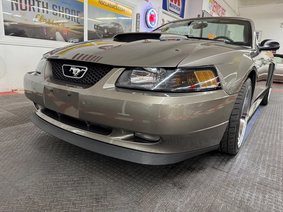 2002 Ford SN95 Mustang - Image 14 of 21