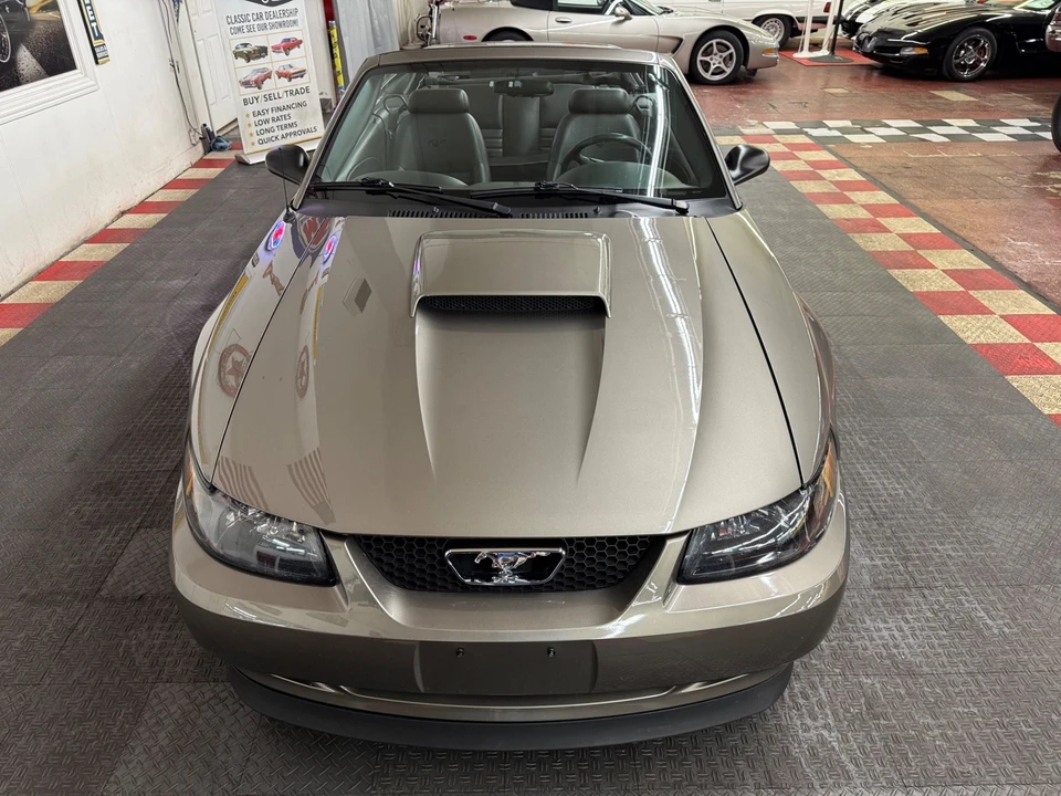 2002 Ford SN95 Mustang - Image 11 of 21