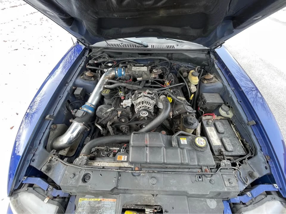 2002 Ford SN95 Mustang - Image 12 of 12