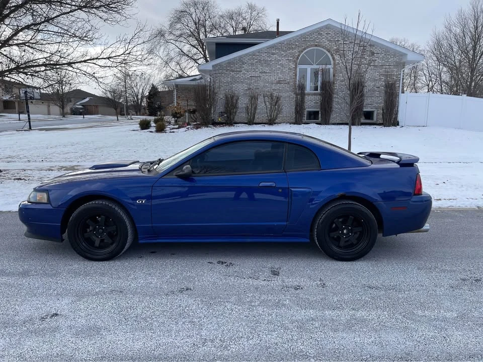 2002 Ford SN95 Mustang - Image 5 of 12