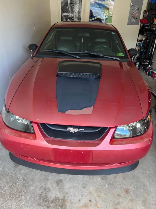 2002 Ford SN95 Mustang - Image 5 of 11
