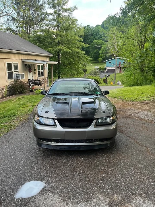 2002 Ford SN95 Mustang - Image 5 of 7