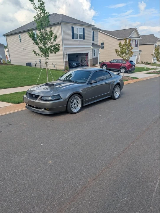 2002 Ford SN95 Mustang - Image 7 of 11