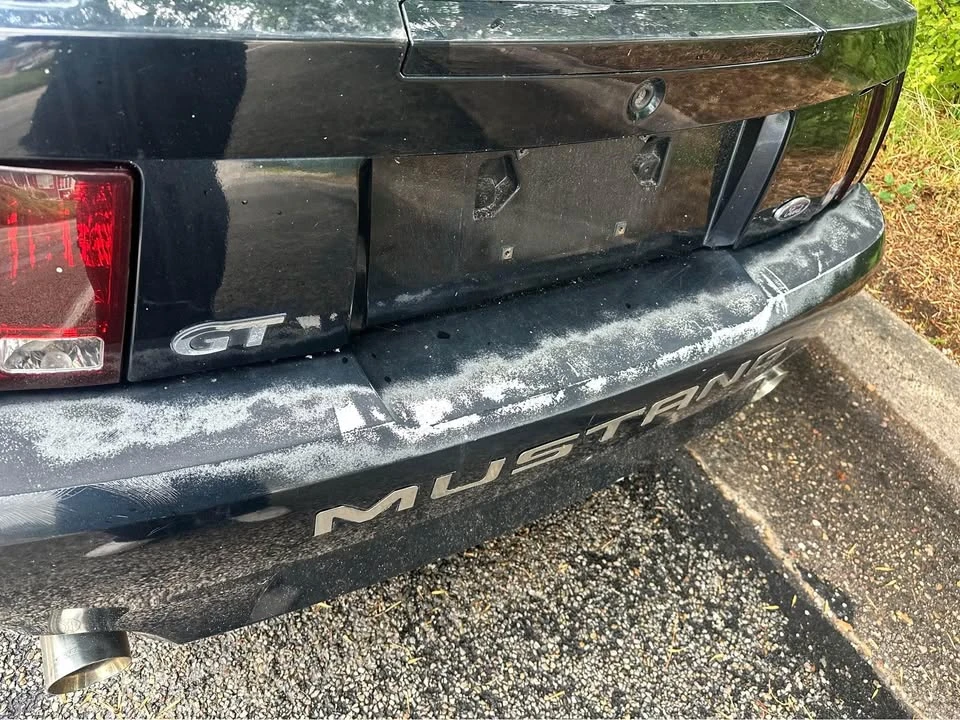 2002 Ford SN95 Mustang - Image 12 of 14