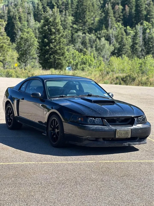 2002 Ford SN95 Mustang - Image 2 of 14