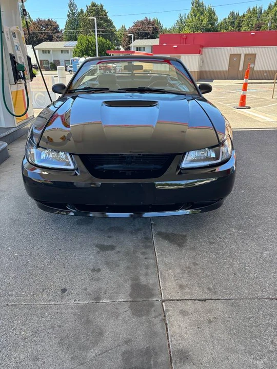 2002 Ford SN95 Mustang - Image 3 of 10