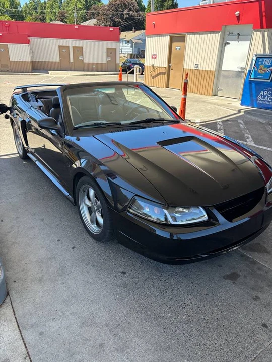 2002 Ford SN95 Mustang - Image 4 of 10