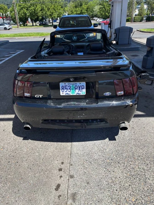 2002 Ford SN95 Mustang - Image 9 of 10