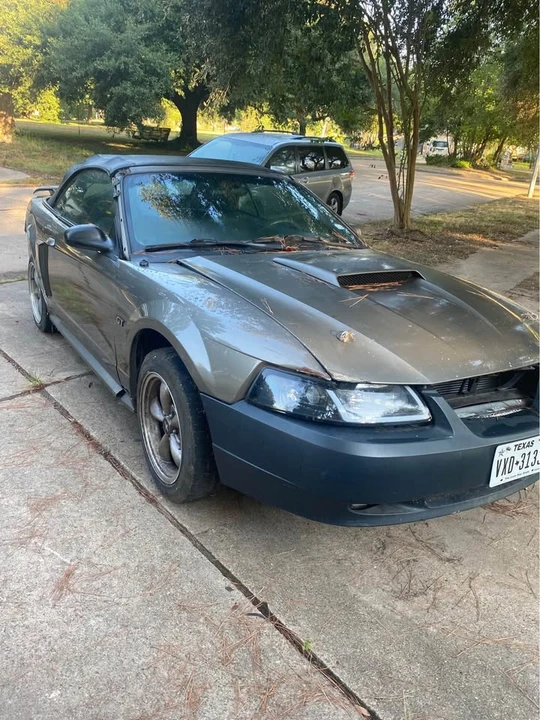 2002 Ford SN95 Mustang - Image 3 of 8