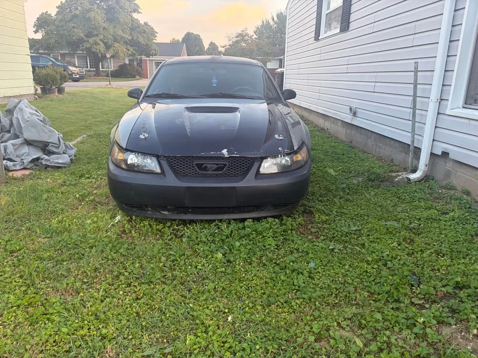 2002 Ford SN95 Mustang - Image 3 of 5