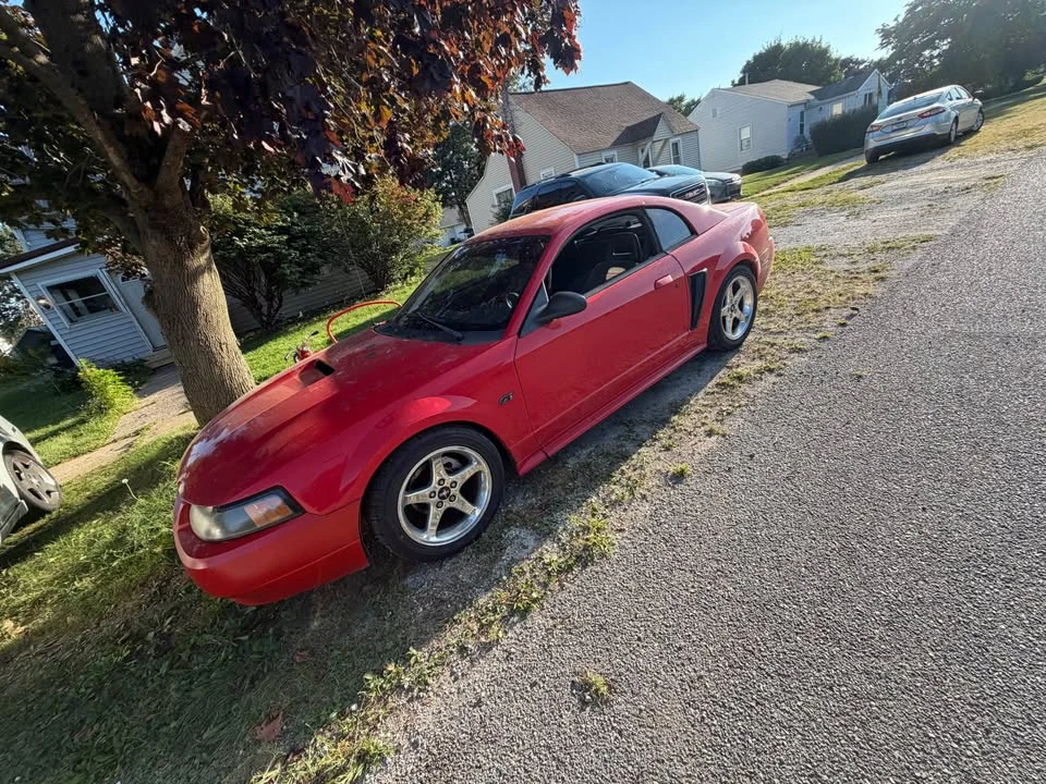 2002 Ford SN95 Mustang - Image 3 of 5
