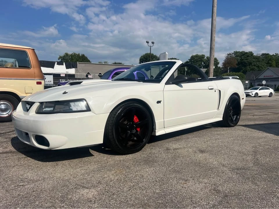 2002 Ford SN95 Mustang - Image 3 of 14