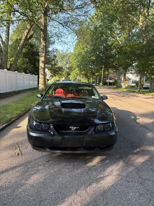 2002 Ford SN95 Mustang - Image 2 of 8