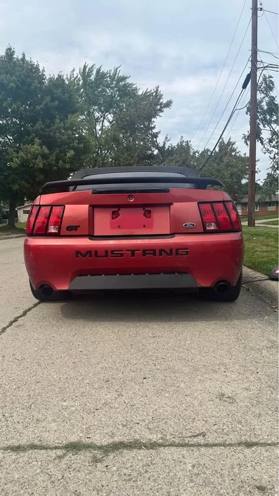 2002 Ford SN95 Mustang - Image 4 of 10