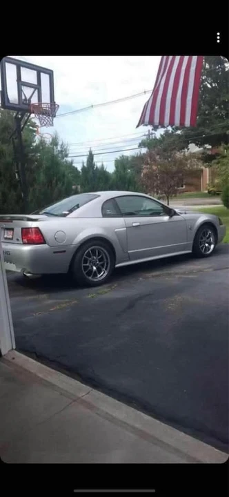 2002 Ford SN95 Mustang - Image 2 of 4