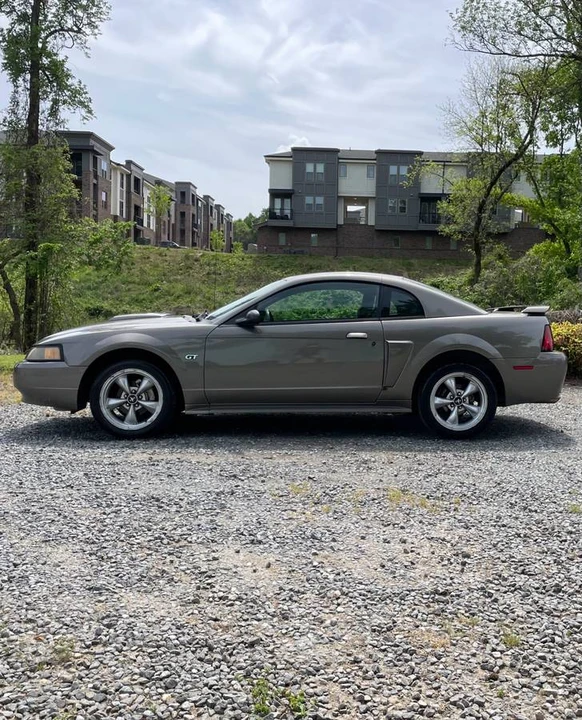 2002 Ford SN95 Mustang - Image 2 of 10