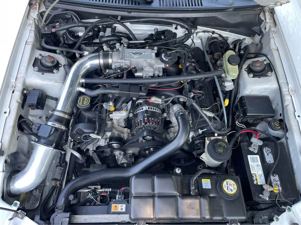 2002 Ford SN95 Mustang - Image 10 of 12
