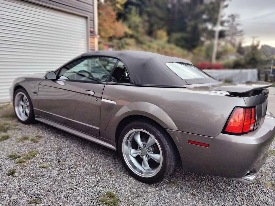 2002 Ford SN95 Mustang - Image 4 of 12