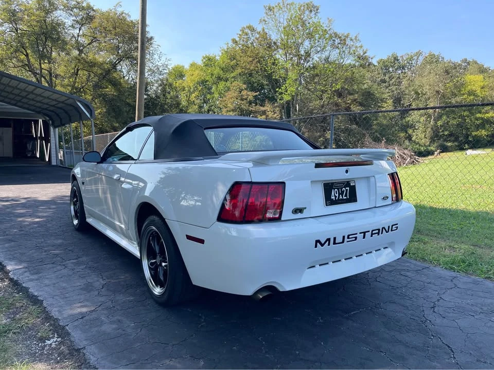 2002 Ford SN95 Mustang - Image 4 of 12