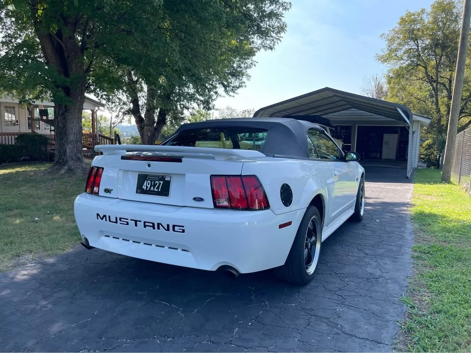 2002 Ford SN95 Mustang - Image 3 of 12