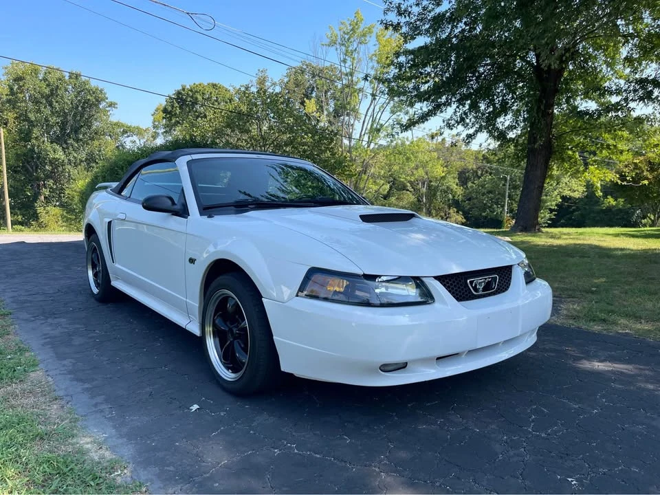 2002 Ford SN95 Mustang - Image 2 of 12