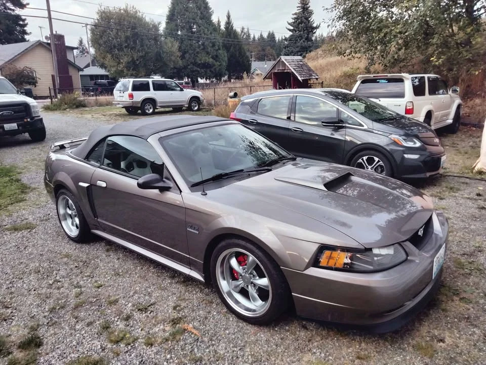 2002 Ford SN95 Mustang - Image 2 of 12