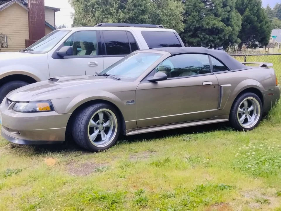 2002 Ford SN95 Mustang - Image 7 of 12