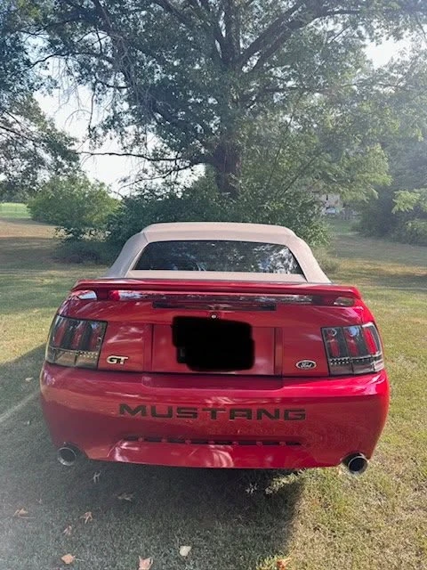2002 Ford SN95 Mustang - Image 6 of 10
