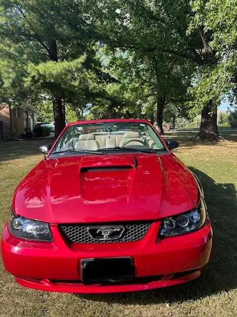 2002 Ford SN95 Mustang - Image 3 of 10