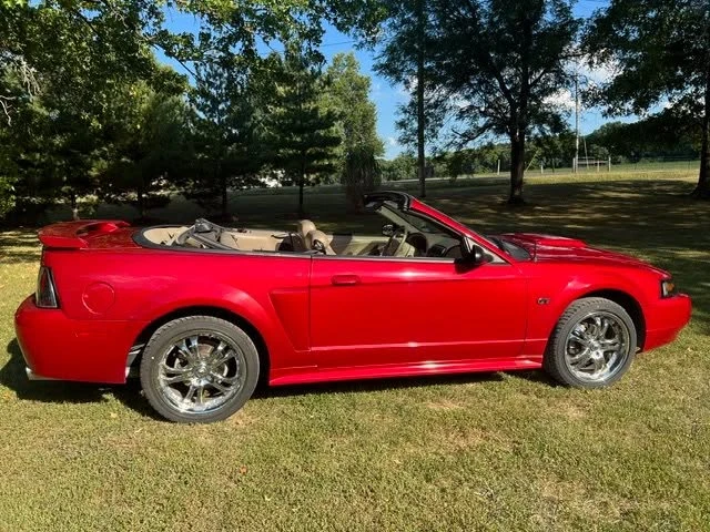 2002 Ford SN95 Mustang - Image 5 of 10