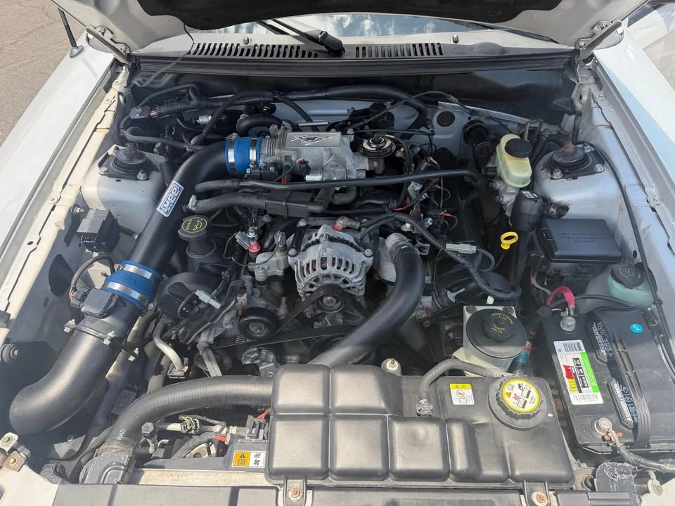 2002 Ford SN95 Mustang - Image 8 of 16