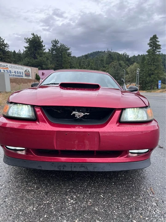 2002 Ford SN95 Mustang - Image 2 of 14